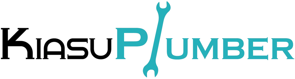Plumbing Service Singapore