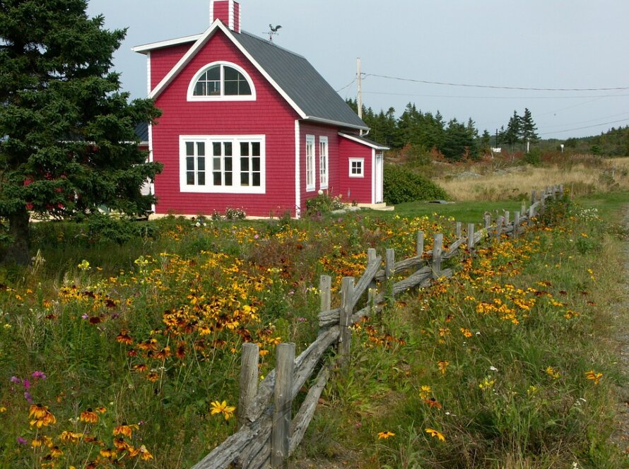 cost of painting house