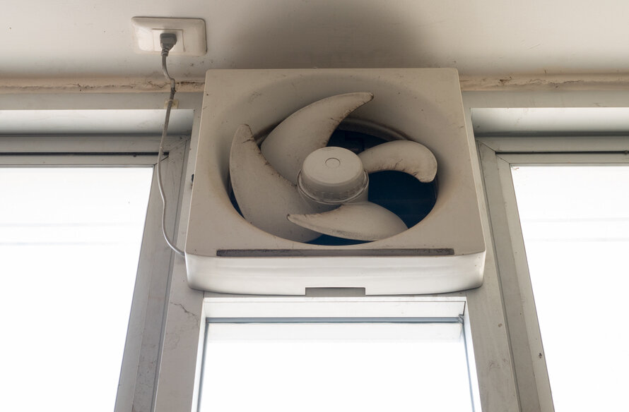 fan